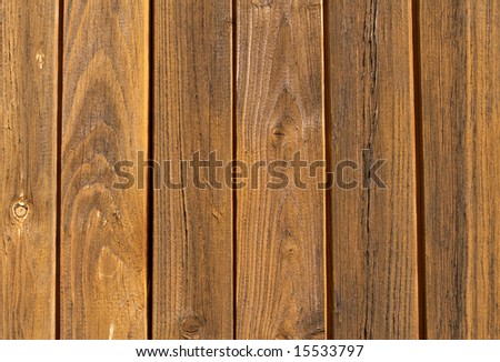 background texture wood. stock photo : Wood texture