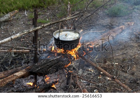 cook fire fish soup