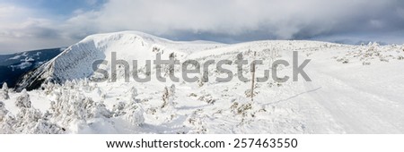 A winter wilderness in mountainous landscape at the Krkonose National Park - panoramic view