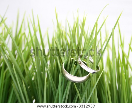 stock photo two white gold wedding rings sitting in the green grass