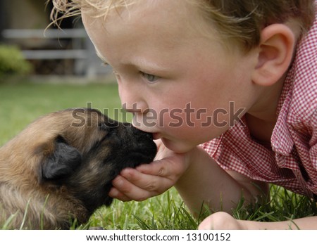 stock photo little boy kissing his very young puppy purebred belgian 