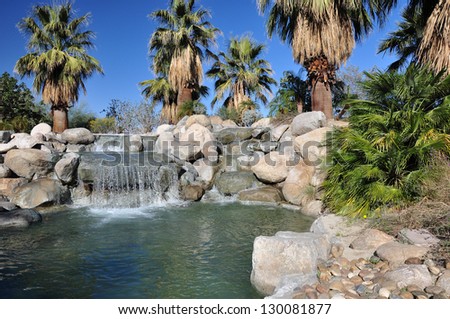 Palm trees flourish around a pool of water at a park in Palm Desert, California.