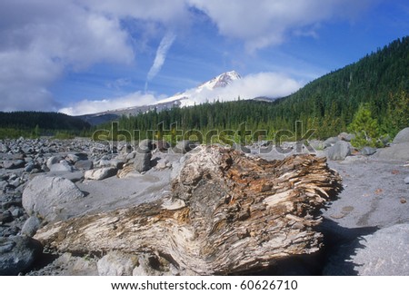 An old tree stump frames this view of Mount Hood in northwest Oregon.