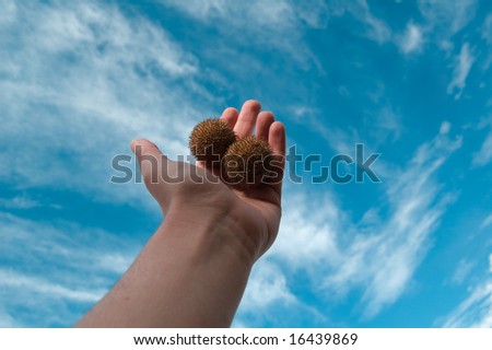 Hand in the sky.Concept of hope and solutions