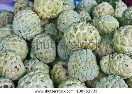 Sugar Apple group for sale
