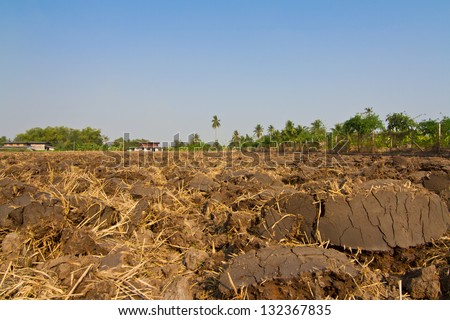 Ploughed Agricultural Land and blue sky