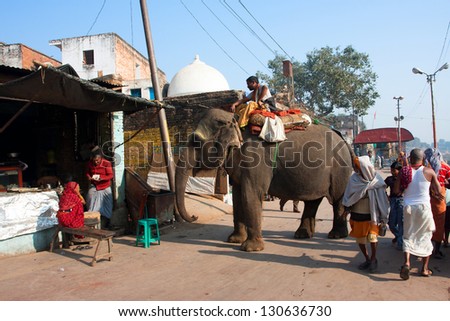 CHITRAKOOT, INDIA - DEC 29: Big elephant walking around the indian town on December 29, 2012 in Chitrakoot, India. Total population of Chitrakoot is 22,294. By the legend, god Rama lived here 11 years