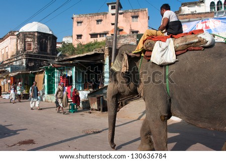 CHITRAKOOT, INDIA - DEC 29: Big elephant walking down the sunny indian street on December 29, 2012 in Chitrakoot, India. Population of Chitrakoot is 22,294. By the legend, god Rama lived here 11 years