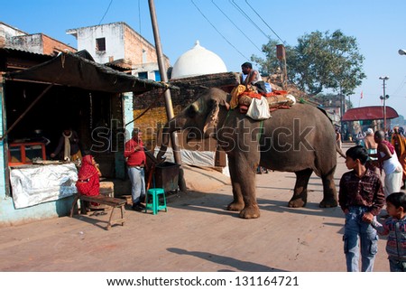 UTTAR PRADESH, INDIA - DECEMBER 29: Elephant asks food on the old city street on December 29, 2012 in Chitrakoot, India. Forest area in Uttar Pradesh is 16,583 km2, which is about 6.88% of the state.