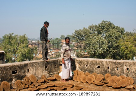 CHITRAKOOT, INDIA - DEC 28: Landlord of small indian town looking at pancakes dried manure on the roof of old house on December 28, 2012 in Madhya Pradesh. Population of Chitrakoot is 22,294 people