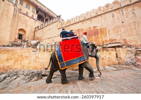 JAIPUR, INDIA - JAN 23: People ride the big elephant for trip to the historical indian Amber Fort on January 23, 2015 in Rajasthan. Amber Fort was built in 1592 by king Raja Man Singh.