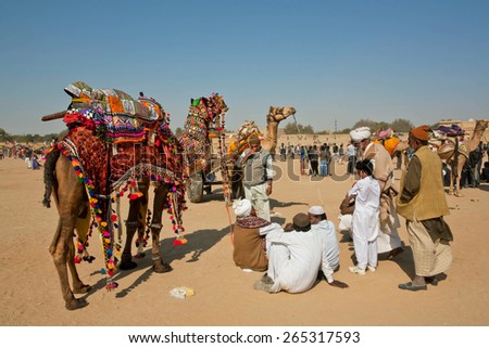 JAISALMER, INDIA - MAR 1: Village people have rest with camels and talking during the rural Desert Festival on March 1, 2015. Every winter Jaisalmer takes the famous Desert Festival