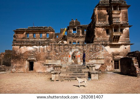CHITTORGARH, INDIA - FEB 15: Pariah dog past a destroyed palace inside the Chittorgarh Fort on February 15, 2015. Chitaurgarh fort is UNESCO World Heritage Site under the group Hill Forts of Rajasthan