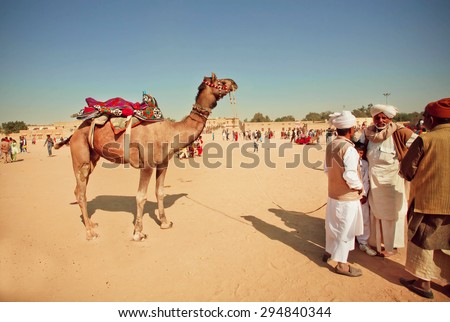 JAISALMER, INDIA - FEB 1: Group of elderly cameleers talking near a camel during the popular Desert Festival on February 1, 2015 in Rajasthan. Every winter Jaisalmer takes the famous Desert Festival