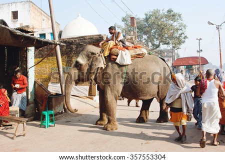 MADHYA PRADESH, INDIA - DEC 29: Walking indian elephant in crowded village street on December 29, 2012 in Chitrakoot, India. Population of Chitrakoot is 22,294 people