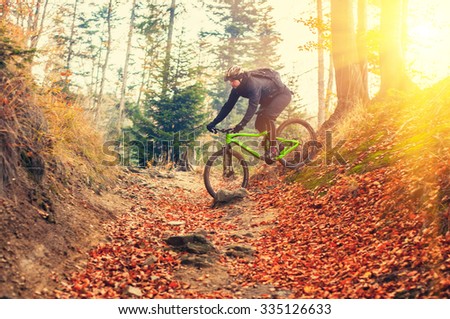 mountain biker riding in autumn forest