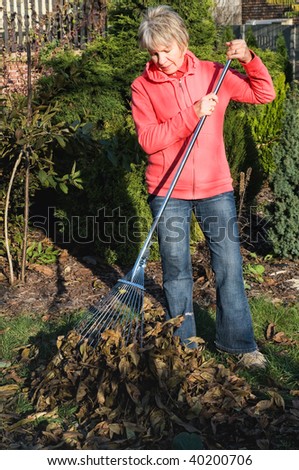 Senior woman raking autumn leaves in a lush garden.