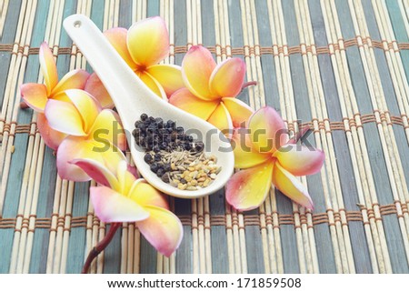 flower, zen stone and different spices on Ceramics spoon