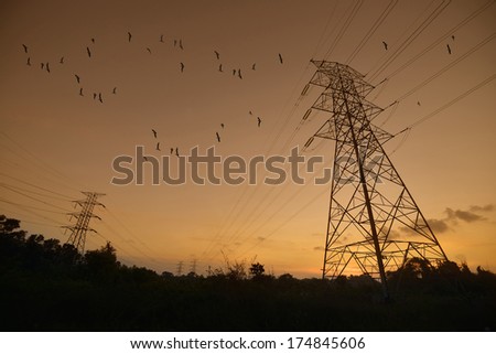 sunset under the high-voltage tower in the background and birds at sky