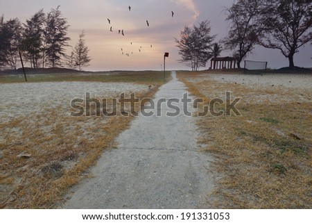 small road leading to the beach in the morning with birds flying