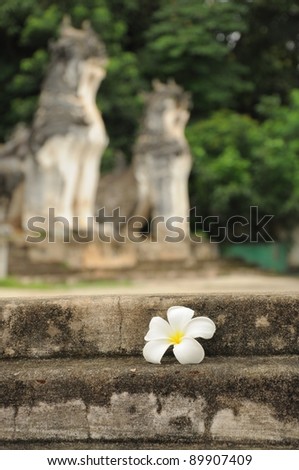 Spa flower on peaceful place with Sing-ha worship background