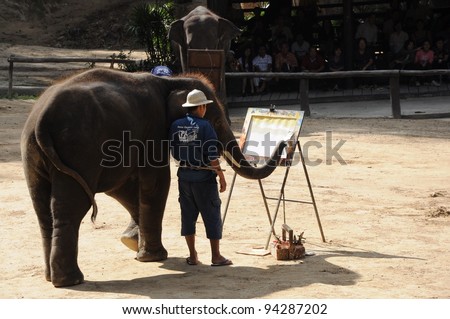 CHIANGMAI, THAILAND - JUNE 26: Daily elephant show at Maesa Elephant camp, Elephant paints to show for tourists, June 26th, 2011 in Chiangmai, Thailand.