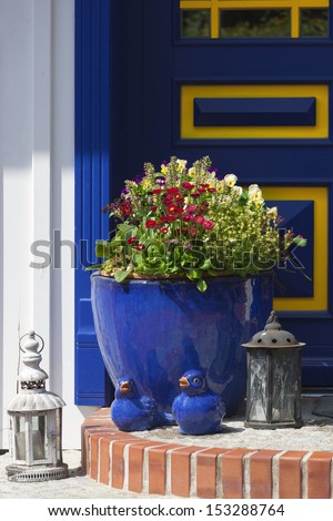 Flower pot and decoration in front of a blue door