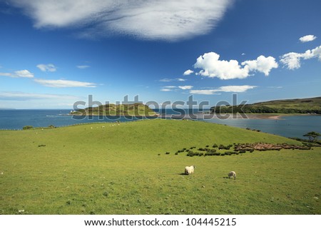Davaar island from the south coast of Kintyre, Scotland, with sheep grazing in a field
