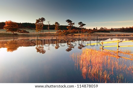 Morning light at a calm Knapps Loch, with trees reflecting on the water. Scotland.