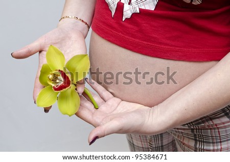 A young pregnant woman with orchid flower touches hands to the belly