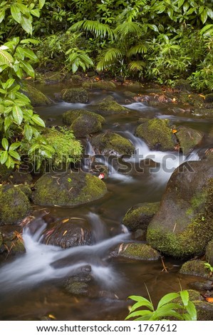 tropical creek scene, Big Island, Hawaii
