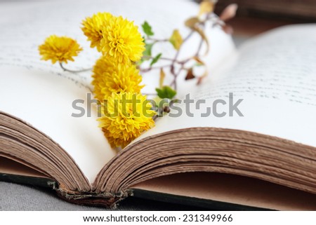 Open book with yellow flowers