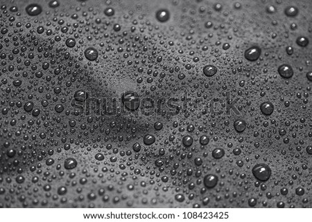 Lotus effect with water drops on black textile