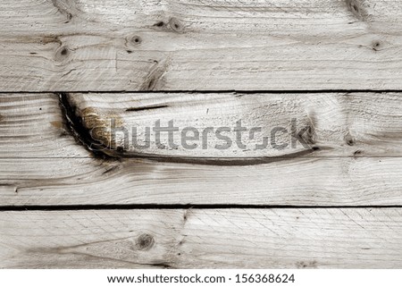 Gray Wood tree boards texture pattern