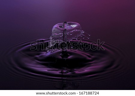 liquid art Water drop collision splash a Liquid Sculpture like a umbrella fungus in purple blue colors
