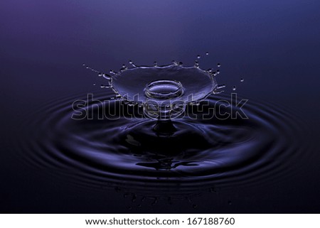 liquid art Water drop collision splash a Liquid Sculpture like a umbrella in purple blue colors