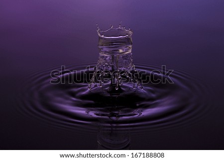 liquid art Water drop collision splash a Liquid Sculpture like a flower in purple blue colors