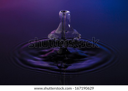 liquid art Water drop collision splash a Liquid Sculpture like a fungus umbrella in purple blue colors