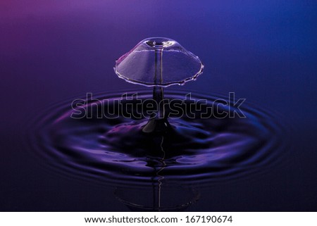 liquid art Water drop collision splash a Liquid Sculpture like a fungus in purple blue colors