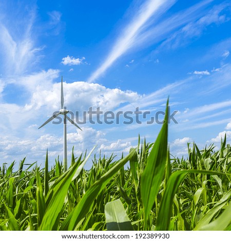maize field agriculture landscape with wind turbine Alternative Energy