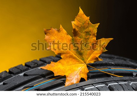 car tires change in the autumn with maple leaf