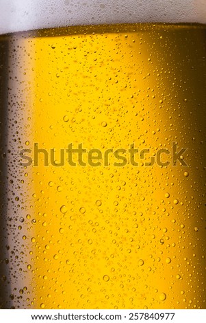 cold fresh german beer with dew drops