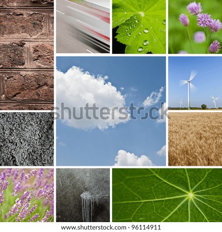Environmental natural stone lotus leaf water drops lavender sky collage
