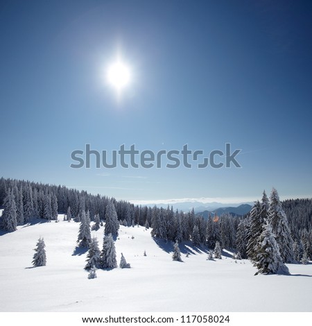 Winter trees in mountains covered with fresh snow