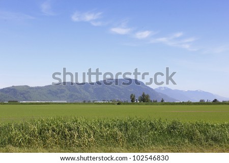 Rich agricultural land spreads out as far as the eye can see in British Columbia\'s Fraser Valley district/Rural Fraser Valley/Agricultural land in the Lower Mainland of British Columbia.