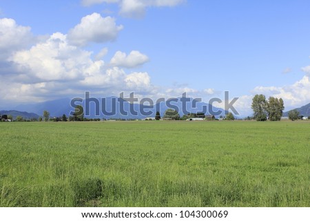 Rich, productive farm land in British Columbia\'s agricultural belt, the Fraser Valley/Productive, rich Farm land/Acres of rich, green farm land