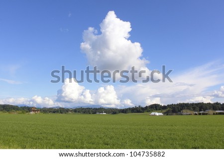 Rich Canadian farm land is crowned by a cumulus cloud/Rich Canadian Farmland/Wide open Canadian farm land.