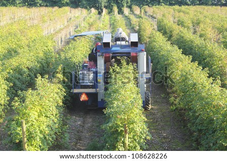 Berry Picking Machine
