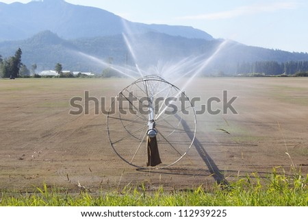 A farm in northwest Washington State is freshly planted and irrigated/Irrigating Washington State Farm Land/Irrigation is used to water freshly seeded acreage in Northern Washington State.