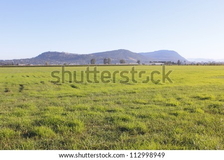 Grassland in British Columbia\'s Fraser Valley Area/BC Grassland/Acres of grassland in British Columbia\'s Fraser Valley